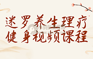 迷罗养生理疗健身视频课程