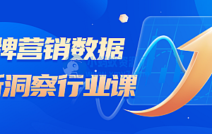 品牌营销数据分析洞察行业课