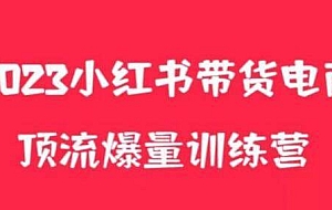 小红书电商爆量训练营,月入3W+!可复制的独家养生花茶系列玩法