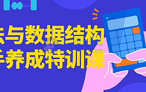 算法与数据结构高手养成特训课