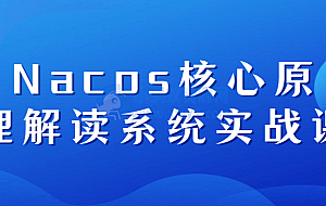 Nacos核心原理解读系统实战课
