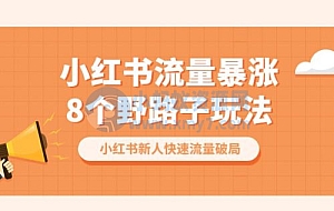 小红书流量暴涨 8 个野路子玩法:小红书新人快速流量破局( 8 节课)