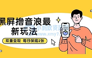 黑屏撸音浪最新玩法:双重变现,每日保底200