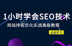 1小时学会SEO技术 网站排名优化实战高级教程-秒杀市面95%收费几千的SEO教程