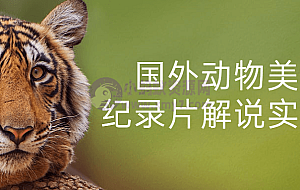 国外动物美食纪录片解说实战课