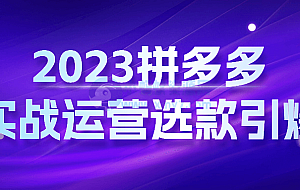 2023拼多多实战运营选款引爆