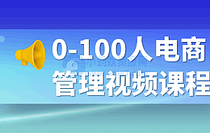 0-100人电商管理视频课程