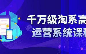 千万级淘系高阶运营系统课程