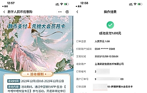中行数币1元开哔哩哔哩会员