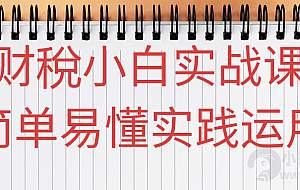 财稅小白实战课简单易懂实践运用