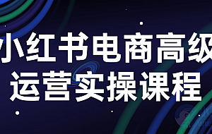 小红书电商高级运营实操课程
