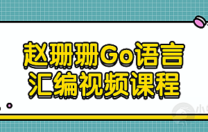 赵珊珊Go语言汇编视频课程