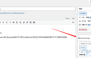 WordPress特色图片插件–Featured Image from URL Premium v6.2.2 破解版下载