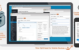 WordPress 表单插件–Gravity Forms v2.9.9.1 破解版下载