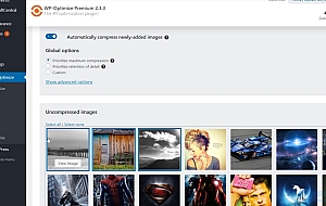 WordPress插件:WP-Optimize Premium v3.3.0 破解版下载