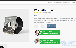 WordPress插件:WhatsApp Chat for WordPress v3.6.1 破解版下载