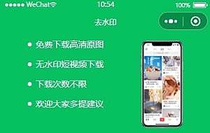 短视频在线免费去水印小程序源码,激励流量主+极客API接口