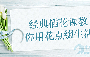 经典插花课教你用花点缀生活