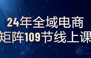 24年全域电商矩阵109节线上课