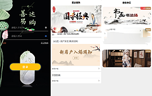 多用户挂售转卖竞拍闪拍商城系统/NFT数藏系统/后端PHP+前端UNIAPP源码带教程