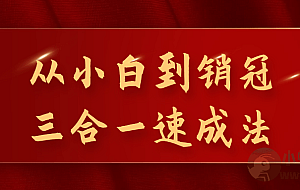 从小白到销冠三合一速成法