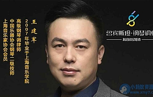 鲁宾斯坦钢琴调律高级视频课