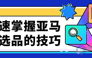 快速掌握亚马逊选品的技巧