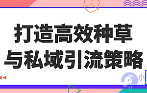打造高效种草与私域引流策略