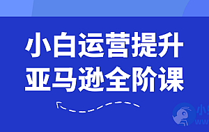 小白运营提升亚马逊全阶课