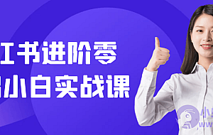 小红书进阶零基础小白实战课