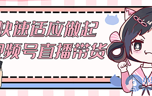 快速适应做起视频号直播带货