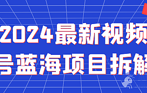 2024最新视频号蓝海项目拆解