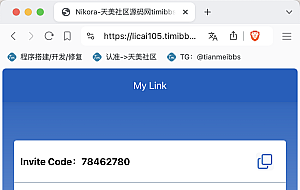 Nikora共享充电桩投资理财源码/海外投资理财源码/前端html+后端PHP