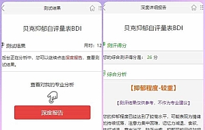 付费心理测试网站源码、心理测试H5变现源码、心理测评网站源码