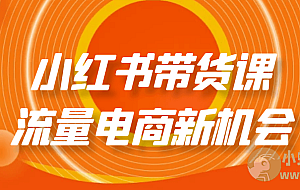 小红书带货课流量电商新机会