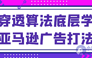 穿透算法底层学亚马逊广告打法