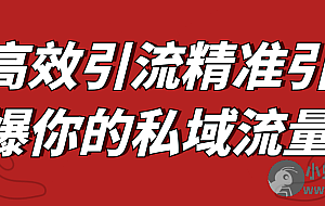 高效引流精准引爆你的私域流量