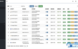 彩虹聚合DNS管理系统源码+SSL证书自动申请与部署