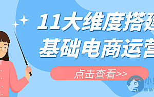 11大维度搭建基础电商运营