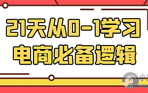 21天从0-1学习电商必备逻辑