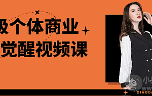 超级个体商业认知觉醒视频课