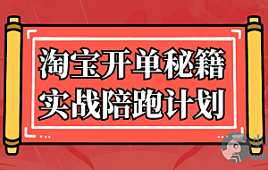 淘宝开单秘籍实战陪跑计划