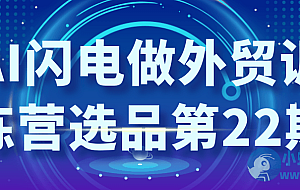 AI闪电做外贸训练营选品第22期