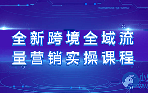 全新跨境全域流量营销实操课程