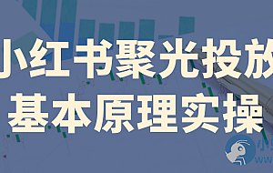 小红书聚光投放基本原理实操