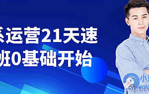 淘系运营21天速成班0基础开始