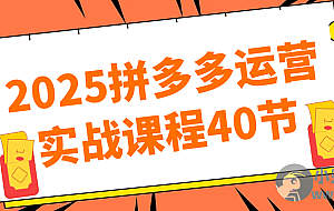2025拼多多运营实战课程40节