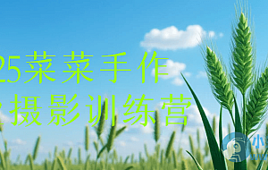 2025菜菜手作专业摄影训练营