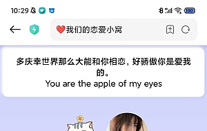 恋爱记录,情人节,适合情侣使用520专用源代码