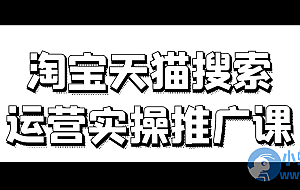 淘宝天猫搜索运营实操推广课